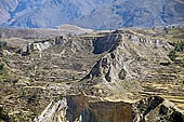 The Colca Valley is one of the most intensively terraced regions in the Andes 